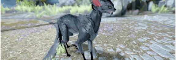 Warframe Vasca Kavat