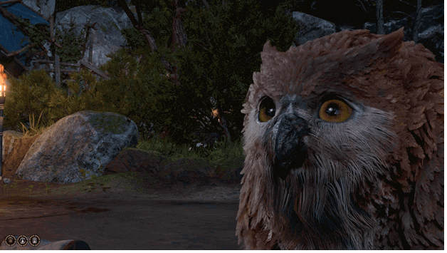Owlbear Cub Baldur's Gate 3