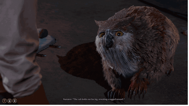 Injured Owlbear Cub