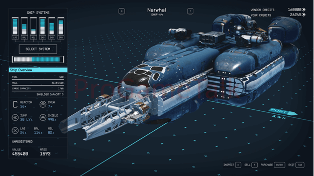 Narwhal Ship Starfield
