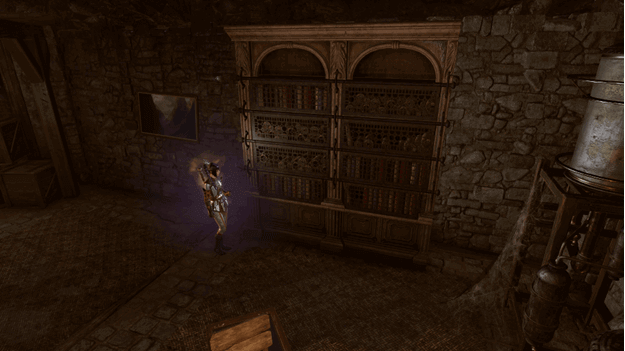 BG3 The bookcase in Cellar